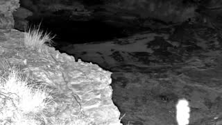 Still 1 from this detection
