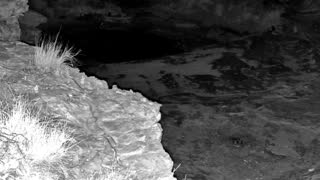 Still 2 from this detection