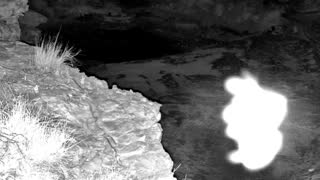 Still 1 from this detection