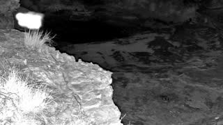 Still 2 from this detection
