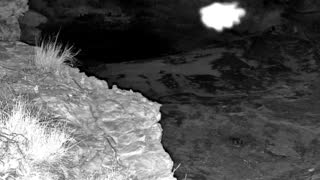 Still 2 from this detection
