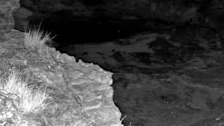 Still 2 from this detection
