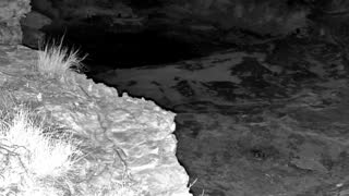Still 2 from this detection