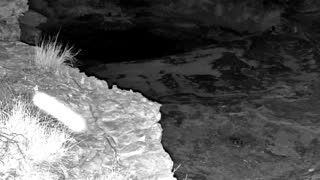 Still 1 from this detection
