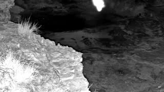 Still 1 from this detection