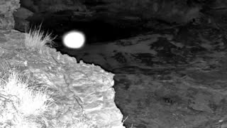 Still 1 from this detection