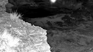 Still 2 from this detection