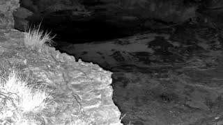 Still 1 from this detection