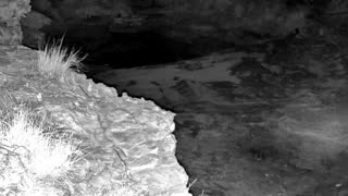 Still 1 from this detection