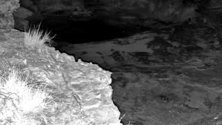 Still 2 from this detection