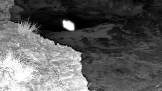Still 1 from this detection