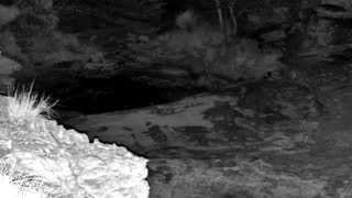 Still 1 from this detection