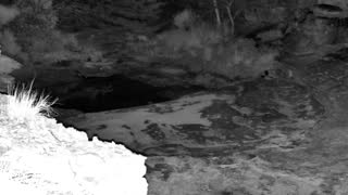 Still 2 from this detection