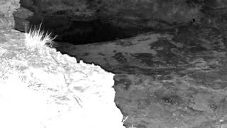 Still 1 from this detection