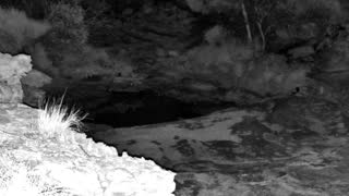 Still 1 from this detection