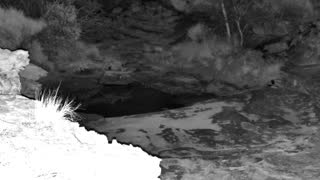 Still 2 from this detection