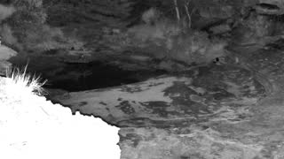 Still 2 from this detection