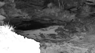 Still 3 from this detection