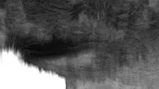 Still 2 from this detection