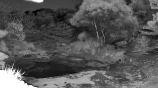 Still 2 from this detection