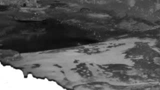 Still 3 from this detection