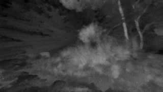 Still 2 from this detection