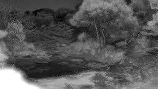 Still 1 from this detection