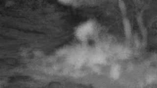 Still 2 from this detection