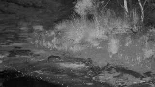 Still 1 from this detection