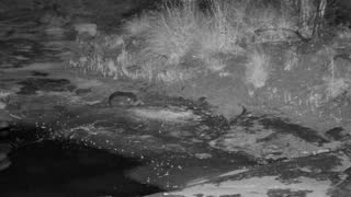 Still 3 from this detection