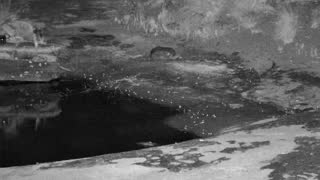 Still 1 from this detection