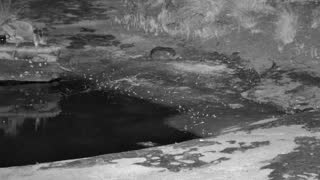 Still 2 from this detection