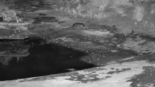 Still 3 from this detection