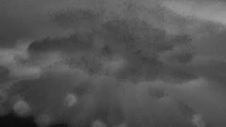 Still 2 from this detection