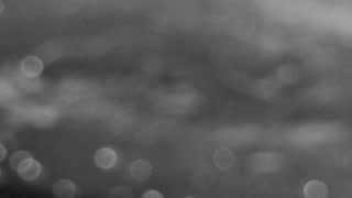Still 3 from this detection
