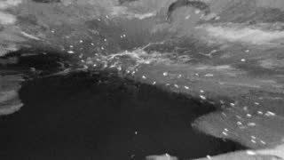 Still 1 from this detection