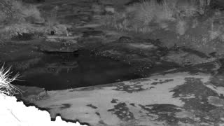 Still 1 from this detection