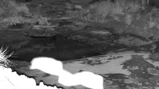 Still 2 from this detection