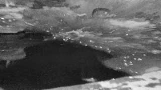 Still 2 from this detection