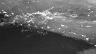 Still 2 from this detection