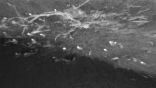 Still 3 from this detection