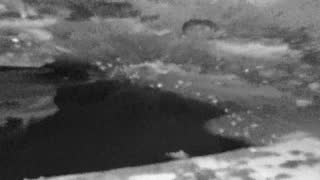 Still 1 from this detection