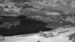 Still 2 from this detection
