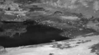 Still 3 from this detection