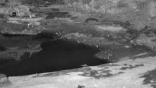 Still 1 from this detection