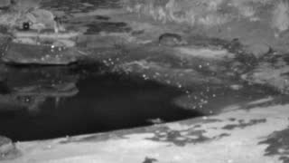 Still 2 from this detection