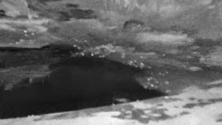 Still 1 from this detection