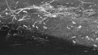 Still 3 from this detection