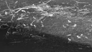 Still 2 from this detection