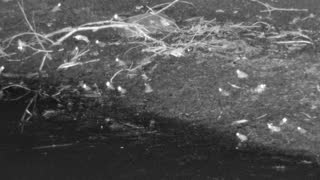 Still 3 from this detection